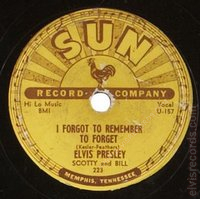 sun-223-side2-78