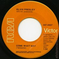 447-0657-1968-side2-mockup
