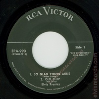 epa-993-side1-nodog